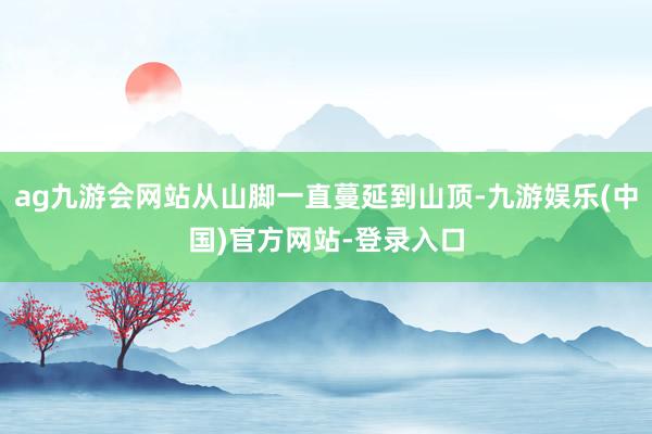 ag九游会网站从山脚一直蔓延到山顶-九游娱乐(中国)官方网站-登录入口