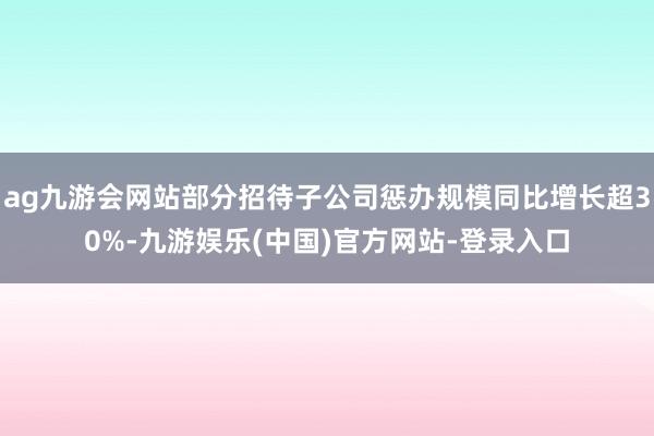 ag九游会网站部分招待子公司惩办规模同比增长超30%-九游娱乐(中国)官方网站-登录入口