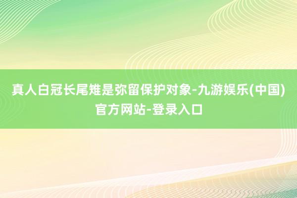 真人白冠长尾雉是弥留保护对象-九游娱乐(中国)官方网站-登录入口
