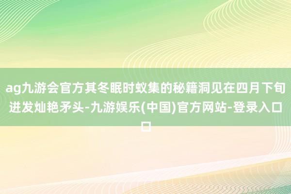 ag九游会官方其冬眠时蚁集的秘籍洞见在四月下旬迸发灿艳矛头-九游娱乐(中国)官方网站-登录入口