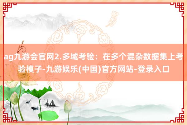 ag九游会官网2.多域考验：在多个混杂数据集上考验模子-九游娱乐(中国)官方网站-登录入口