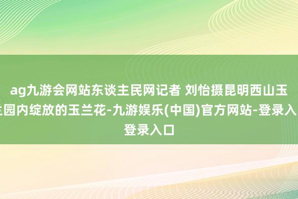 ag九游会网站东谈主民网记者 刘怡摄昆明西山玉兰园内绽放的玉兰花-九游娱乐(中国)官方网站-登录入口
