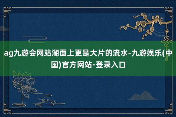 ag九游会网站湖面上更是大片的流水-九游娱乐(中国)官方网站-登录入口