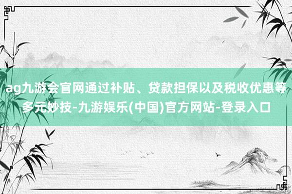 ag九游会官网通过补贴、贷款担保以及税收优惠等多元妙技-九游娱乐(中国)官方网站-登录入口
