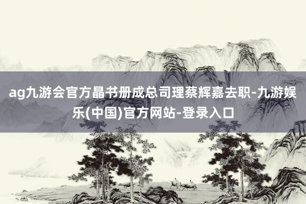 ag九游会官方晶书册成总司理蔡辉嘉去职-九游娱乐(中国)官方网站-登录入口