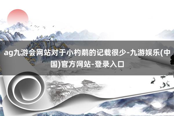 ag九游会网站对于小杓鹬的记载很少-九游娱乐(中国)官方网站-登录入口
