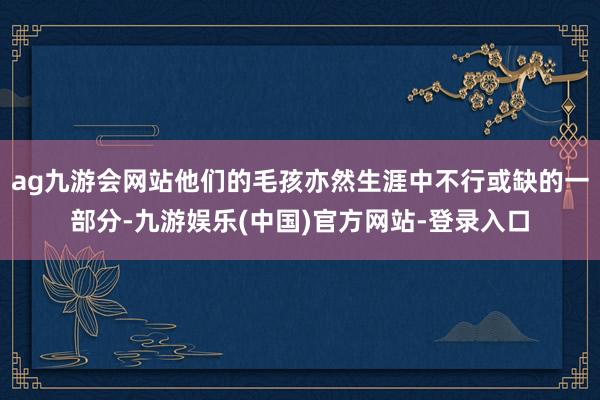 ag九游会网站他们的毛孩亦然生涯中不行或缺的一部分-九游娱乐(中国)官方网站-登录入口