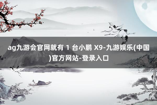 ag九游会官网就有 1 台小鹏 X9-九游娱乐(中国)官方网站-登录入口