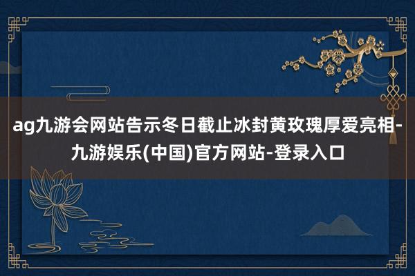 ag九游会网站告示冬日截止冰封黄玫瑰厚爱亮相-九游娱乐(中国)官方网站-登录入口