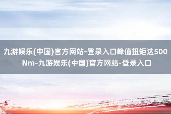 九游娱乐(中国)官方网站-登录入口峰值扭矩达500 Nm-九游娱乐(中国)官方网站-登录入口
